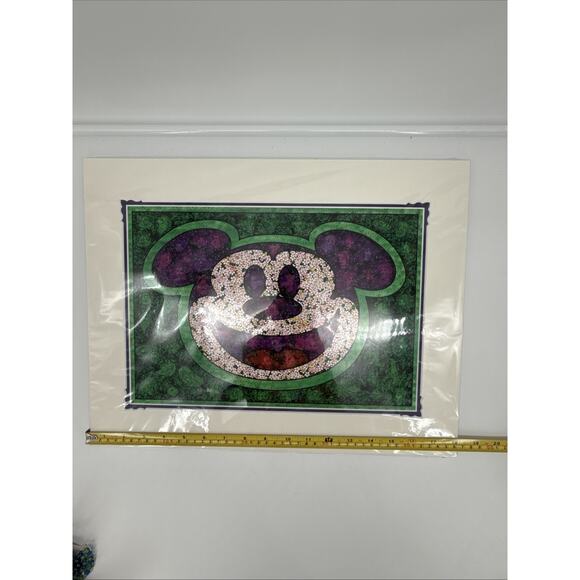 Disney Mickey Mouse Flower & Garden 2020 Print by Kenny Yamada 18x14 - Picture 11 of 16